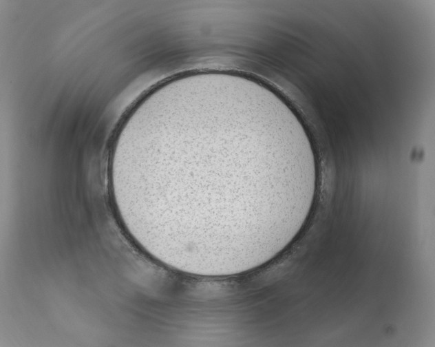 X0000112081078200909151107