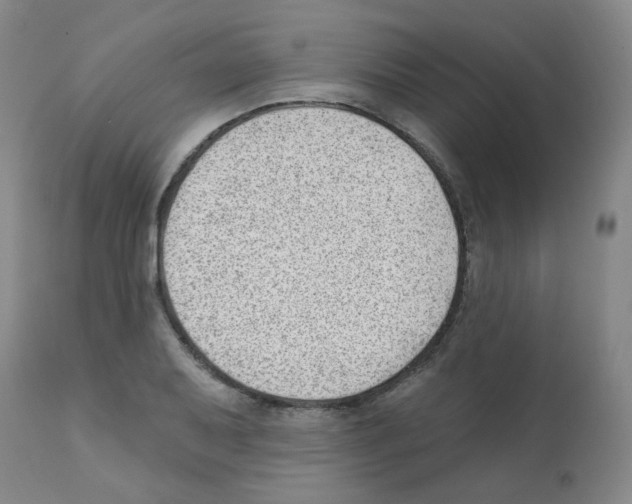 X0000112081079200909151107