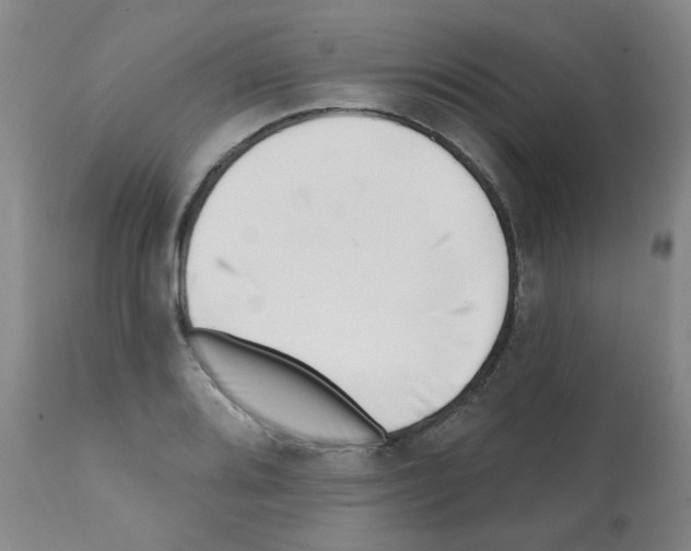 X0000112081080200909151107