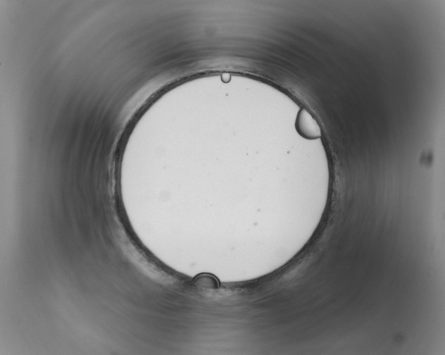 X0000112081082200909151107