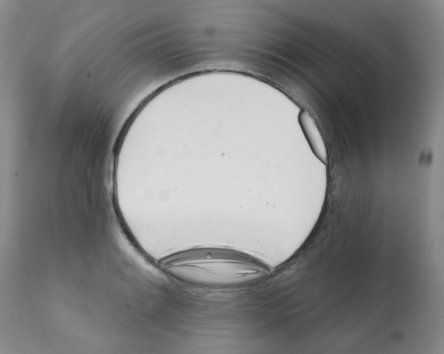 X0000112081084200909151107