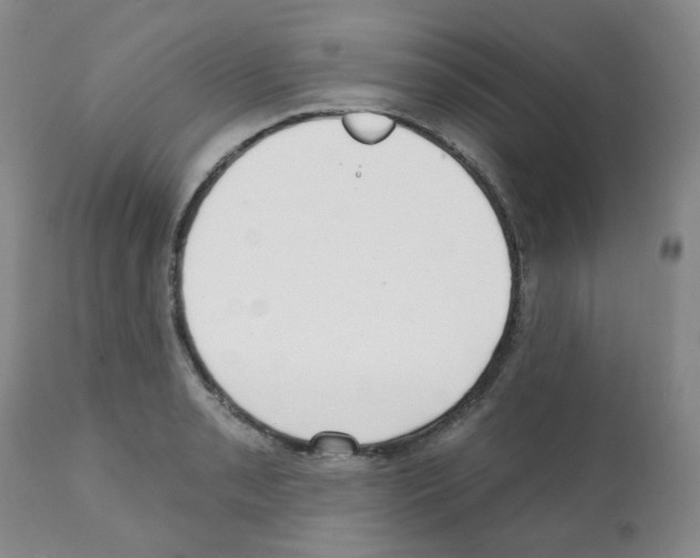 X0000112081085200909151107