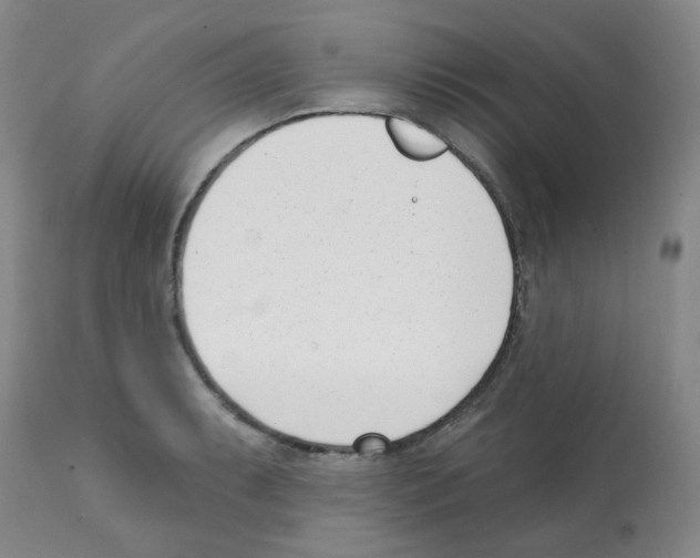 X0000112081087200909151107