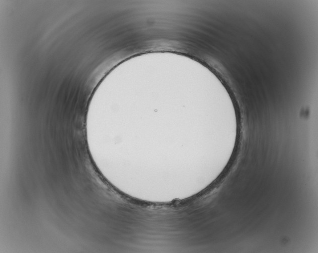 X0000112081089200909151107