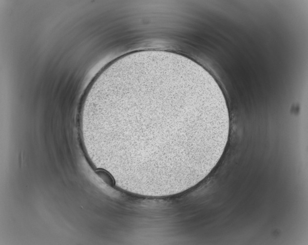 X0000112081091200909151107