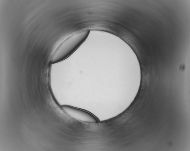 X0000112081092200909151107