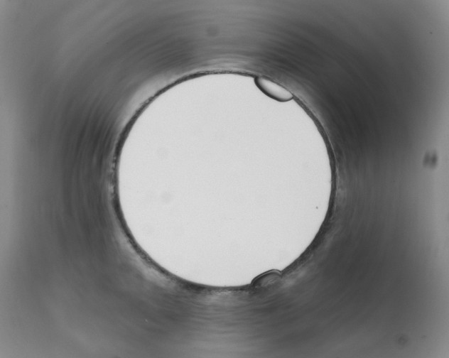 X0000112081093200909151107