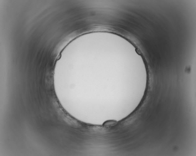 X0000112081097200909151107