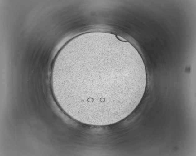 X0000112081099200909151107