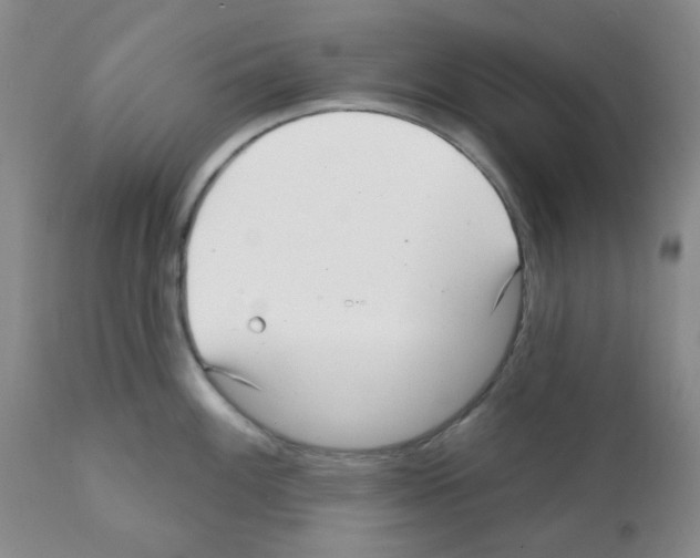 X0000112081100200909151107