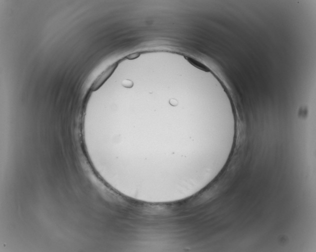 X0000112081101200909151107
