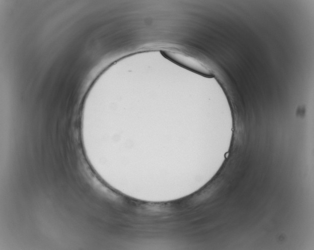 X0000112081102200909151107