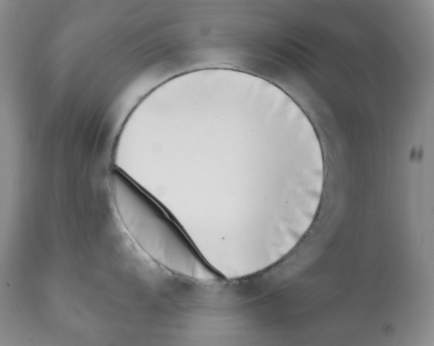 X0000112081104200909151107