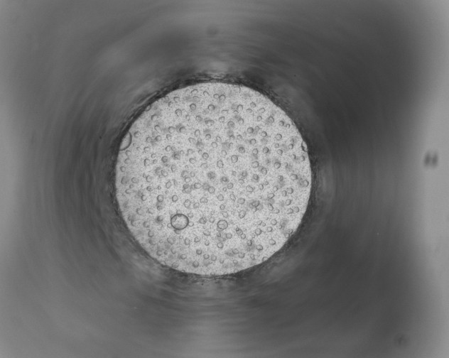 X0000112081105200909151106