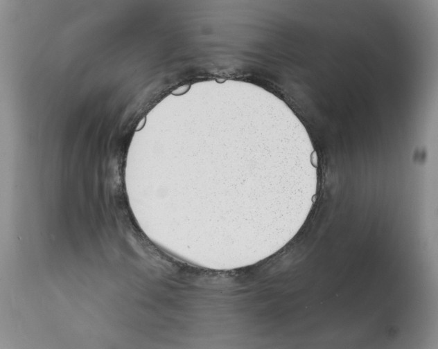 X0000112081106200909151106