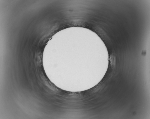 X0000112081107200909151106