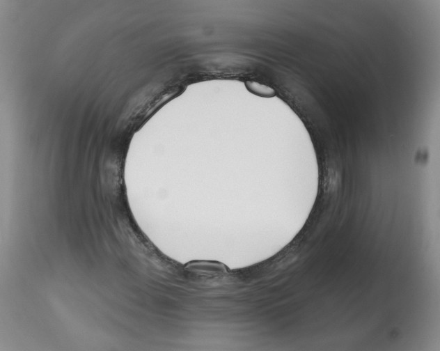 X0000112081108200909151106