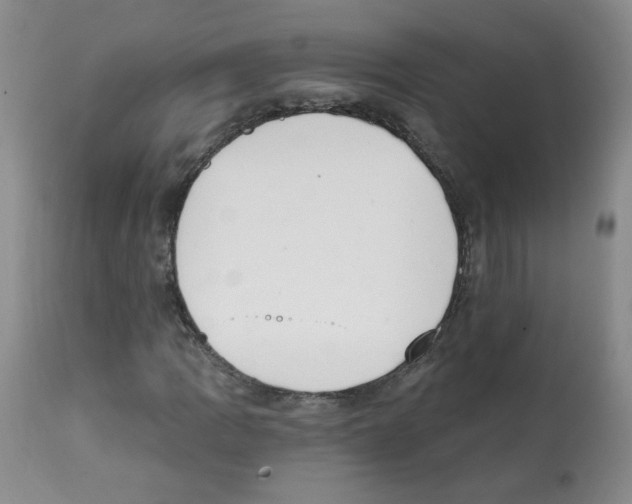X0000112081109200909151106