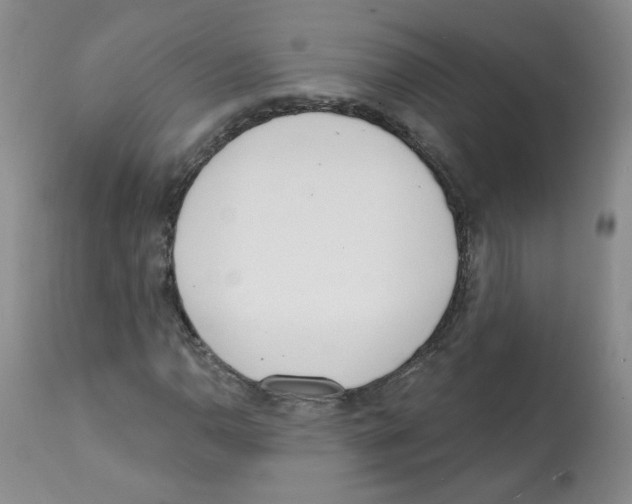 X0000112081110200909151106