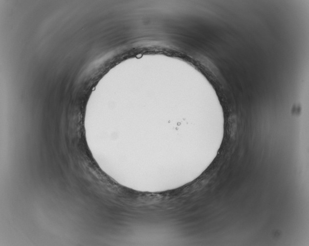 X0000112081111200909151106