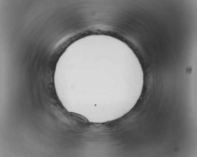 X0000112081112200909151106