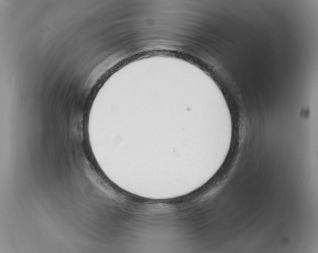 X0000112081113200909151106