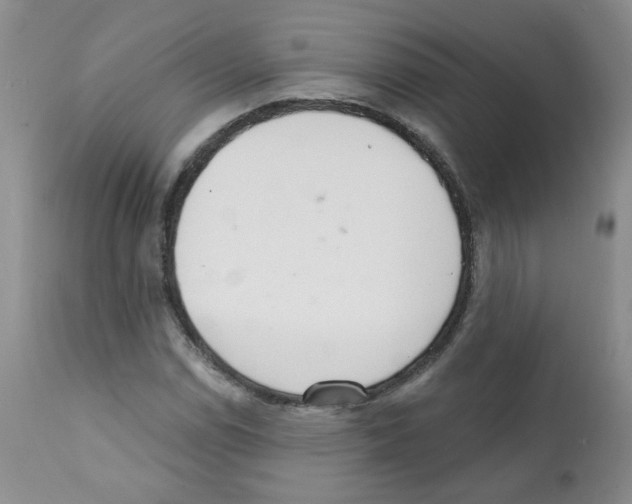 X0000112081114200909151106