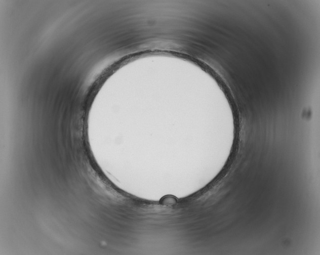 X0000112081115200909151106