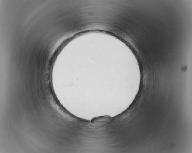 X0000112081116200909151106