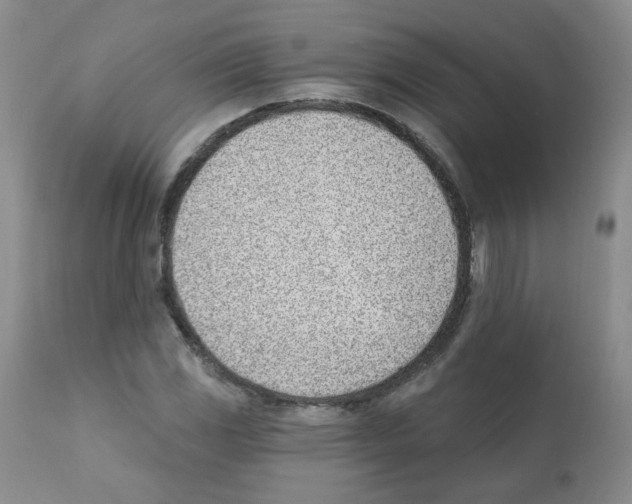 X0000112081117200909151106