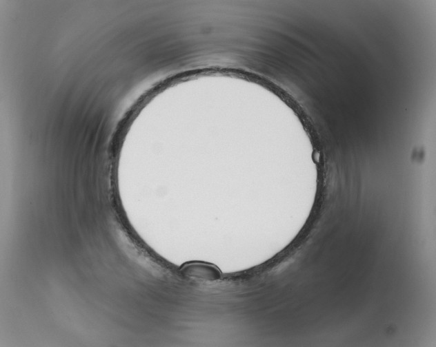 X0000112081118200909151106