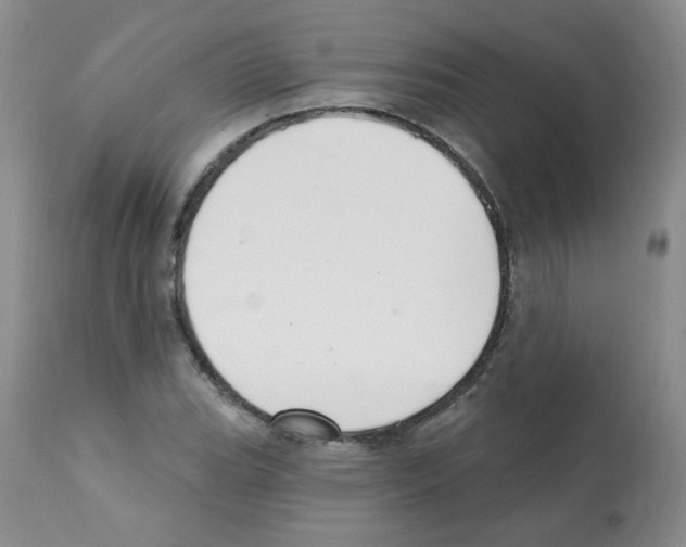 X0000112081119200909151106