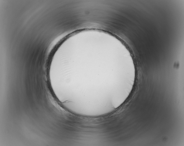 X0000112081120200909151106