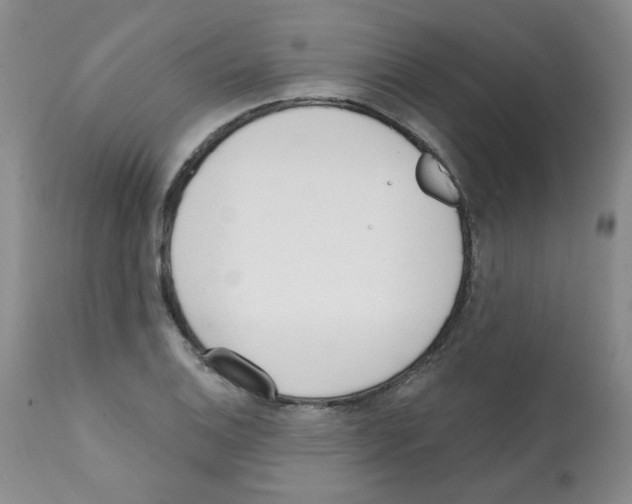 X0000112081124200909151106