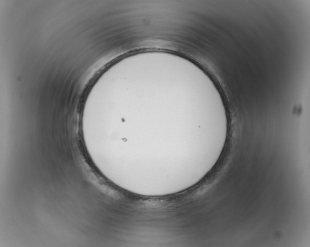 X0000112081125200909151106
