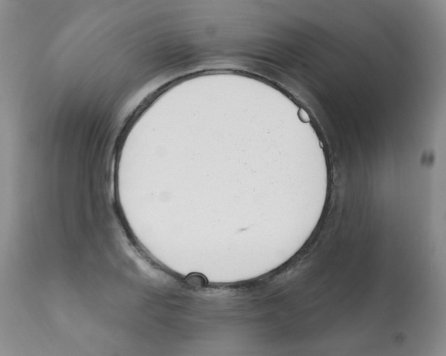 X0000112081127200909151106