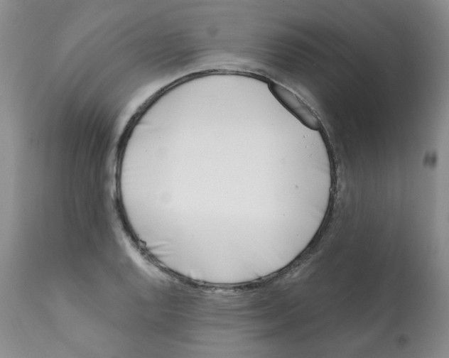 X0000112081128200909151106