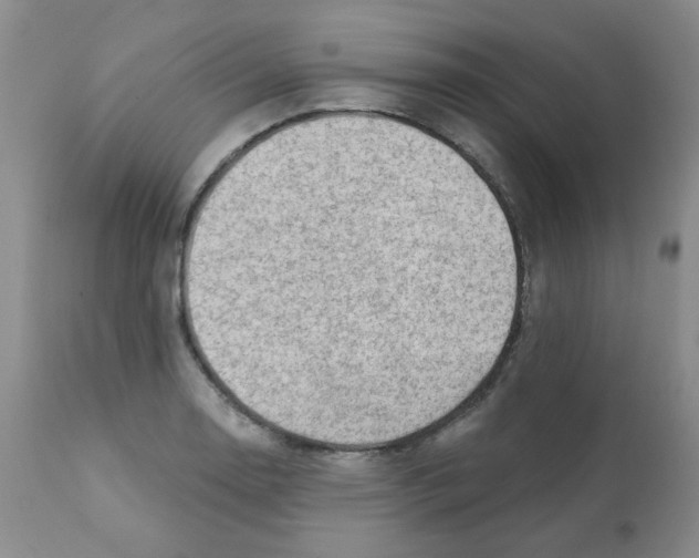 X0000112081130200909151106