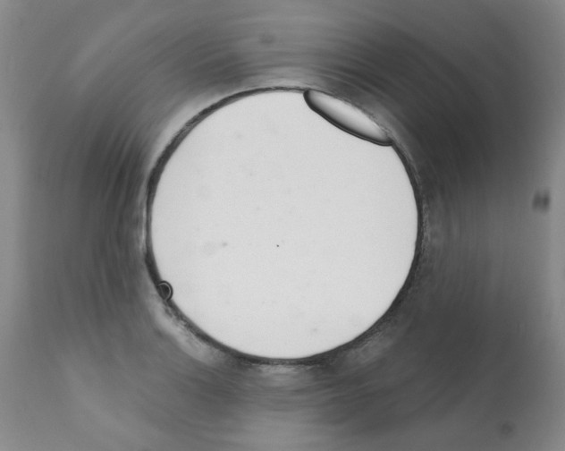 X0000112081132200909151106