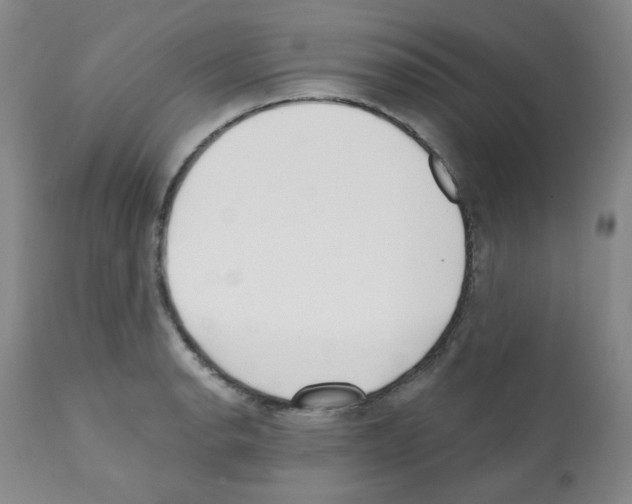 X0000112081134200909151106