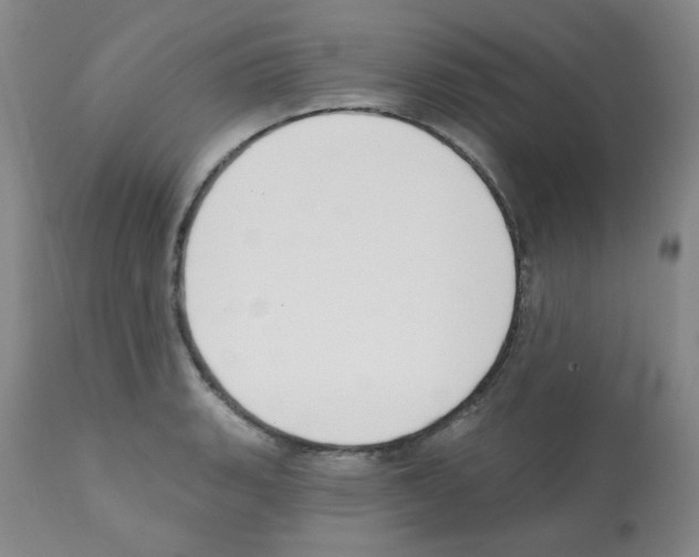 X0000112081135200909151106