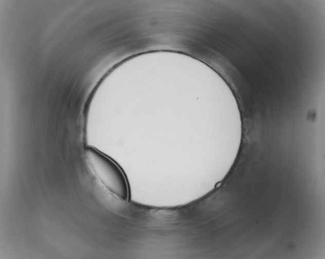 X0000112081140200909151107