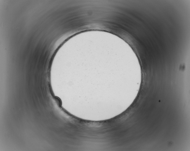 X0000112081141200909151107
