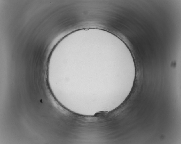 X0000112081144200909151107