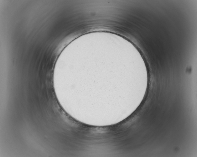 X0000112081145200909151107