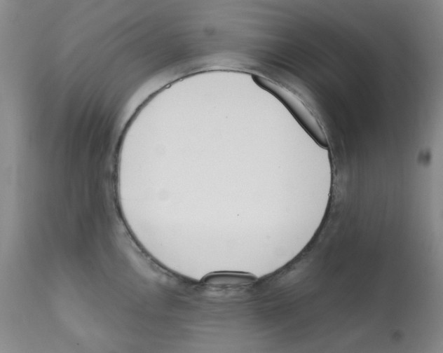 X0000112081146200909151107