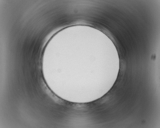X0000112081148200909151107