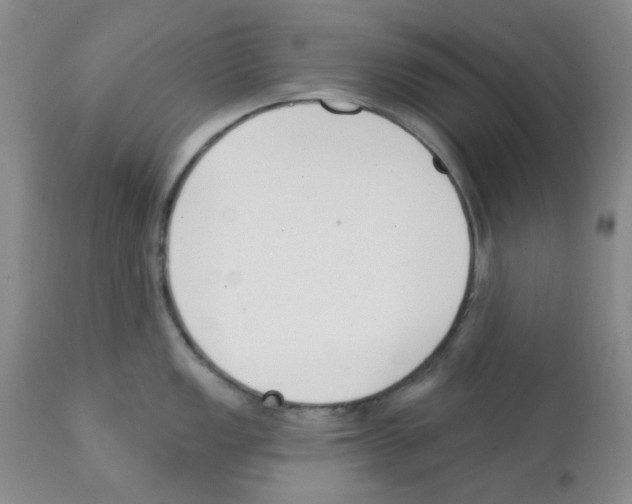 X0000112081149200909151107