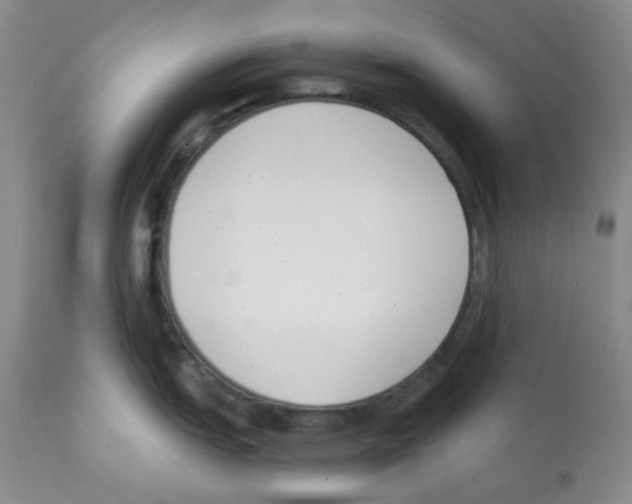 X0000112081151200909151107