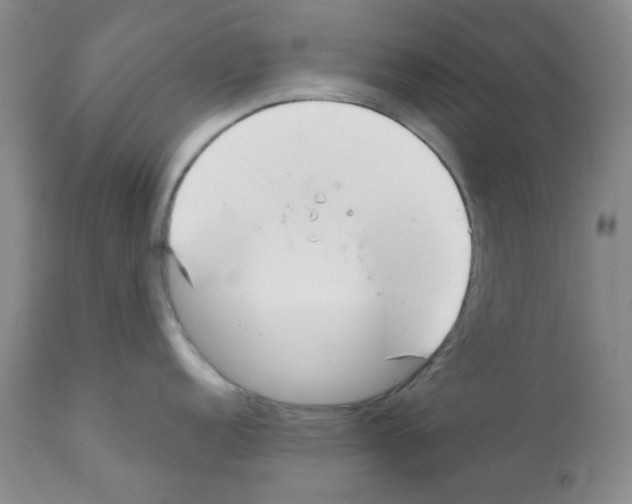 X0000112081152200909151107